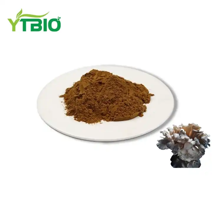 Organic Maitake Fine Powder